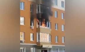 Появилось видео пожара в кемеровской Лесной Поляне
