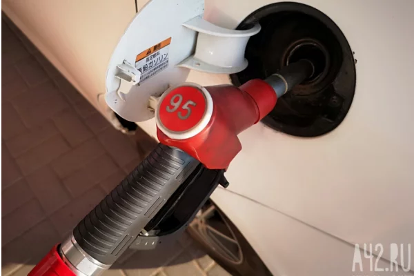 В Кузбассе за месяц подорожали все виды моторного топлива