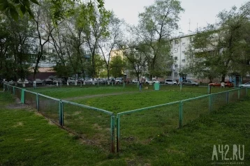 Фото: Житель Кузбасса избил собаку в Сочи 1