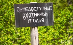 В Кузбассе охотникам разрешили убить 12 сурков и 2 075 бобров