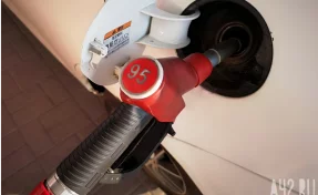 В Кузбассе за месяц подорожали все виды моторного топлива