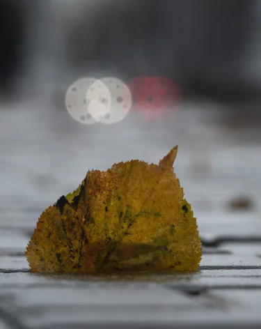 Температурный перепад в 20 градусов ожидается в Кузбассе 26 октября