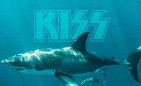 Группа Kiss даст концерт для акул под водой