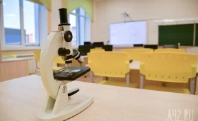 В Польше школьникам готовятся раздать таблетки йодида калия для защиты от радиации
