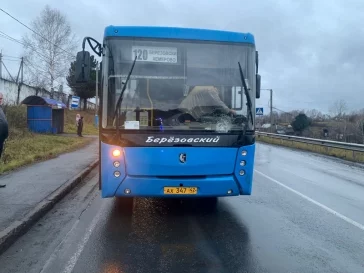 Фото: В Кузбассе отправили в колонию водителя автобуса, насмерть сбившего женщину на «зебре» 1