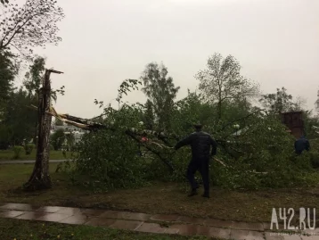 Последствия шторма в Парке чудес. Фото: Газета Кемерова
