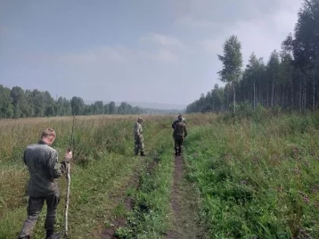 Фото: Полицейские присоединились к поискам пропавшего в лесу пенсионера в Кузбассе 1