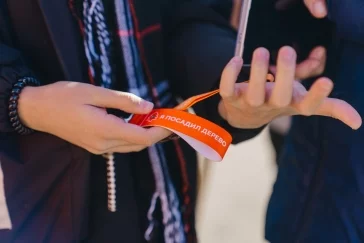 Фото: 10 000 новых деревьев в Новокузнецке: как прошёл масштабный экопраздник от Goodline 12