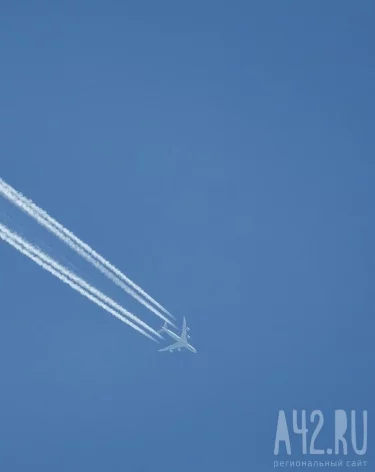 Фото: A42.RU