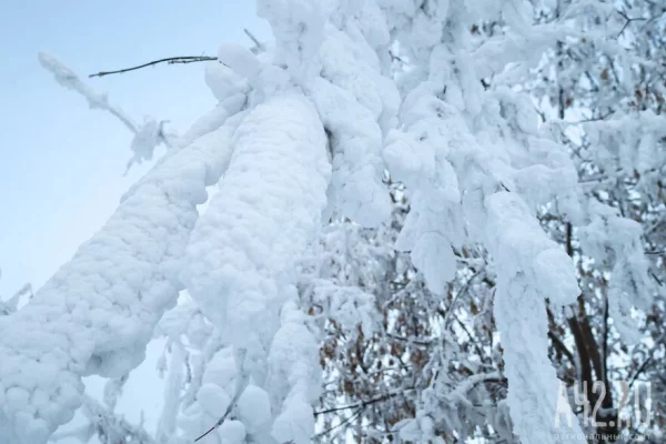МЧС Камчатки: судьба всех 9 туристов известна, операция завершается