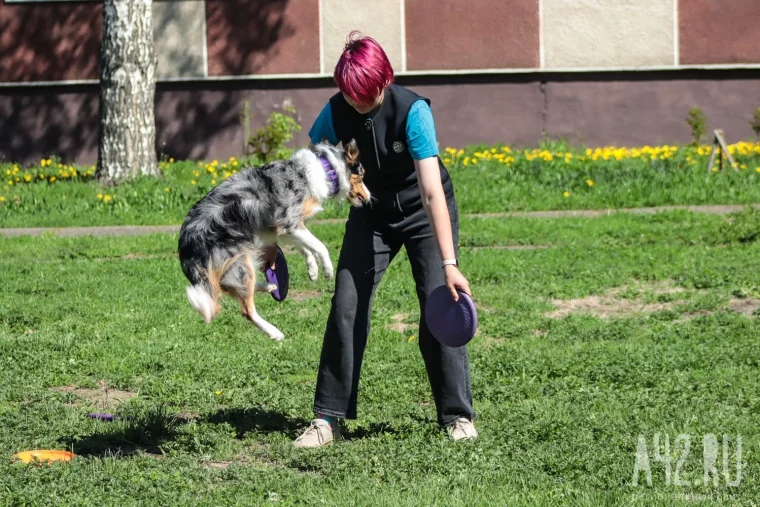 Фото: Доктор пёс и компания: эстафета и обнимашки с собаками 41