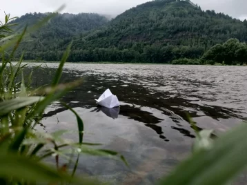 Фото: Вода подступила: в кузбасском городе затопило огороды в частном секторе из-за сильных дождей 1