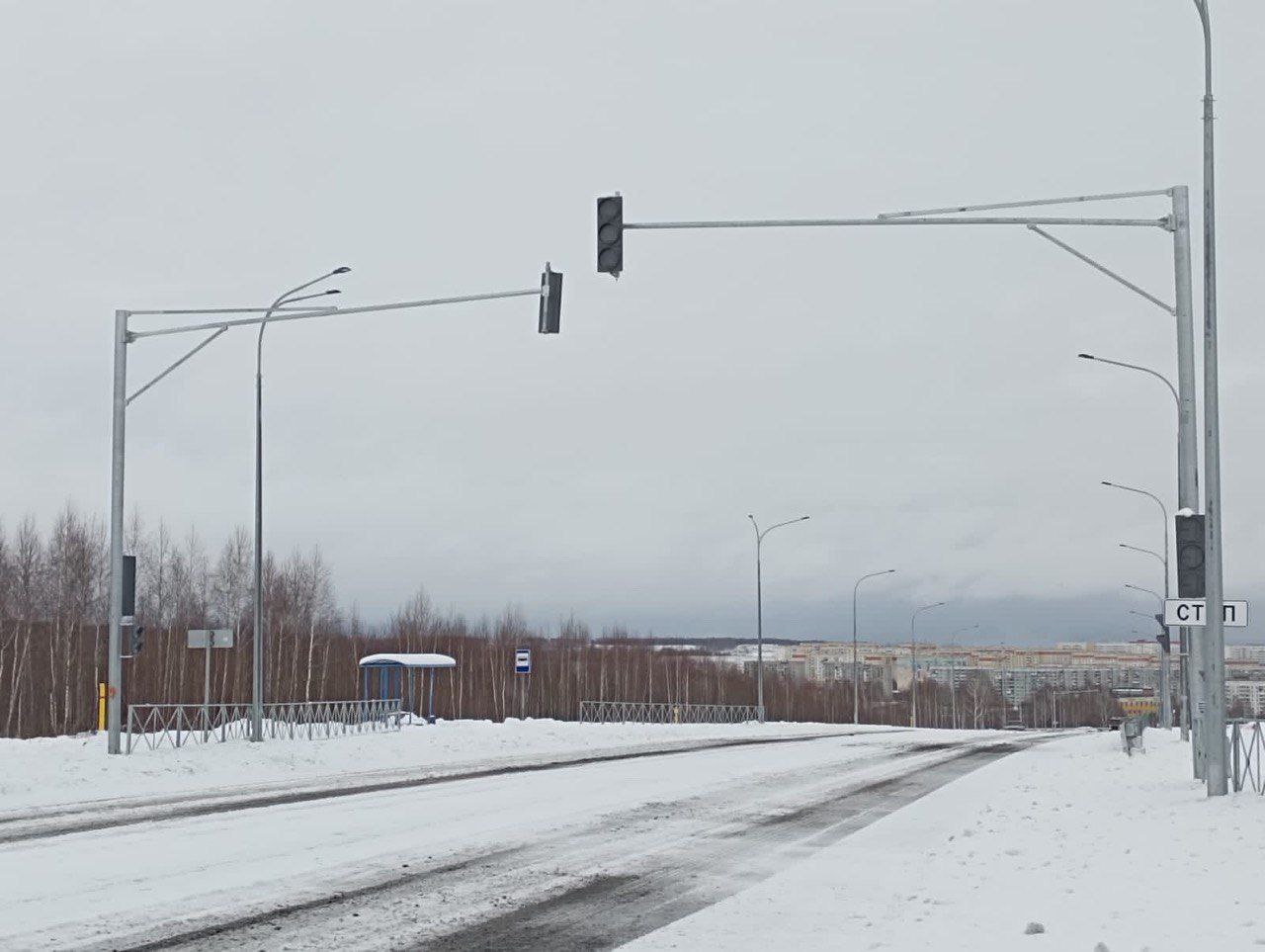 Властям Новокузнецка разрешили открывать новые дороги в «Берёзовой роще»