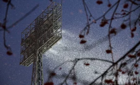 Осенние зяби: народные приметы на 26 ноября