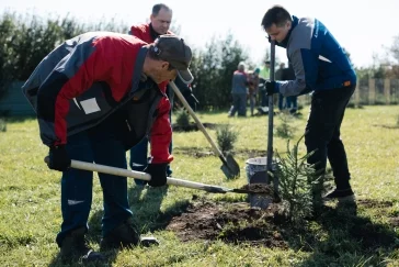 Фото: «Кузбассразрезуголь» высадил почти 3 тысячи деревьев в год 100-летия Прокопьевского муниципального округа 1