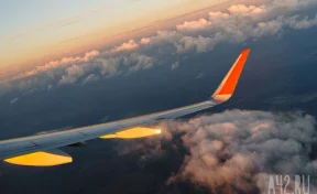 Самолёт Сочи — Кемерово экстренно приземлился в Барнауле