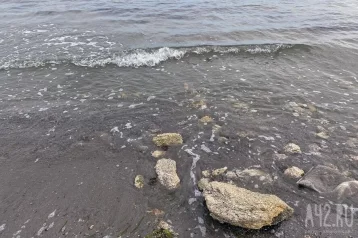 Фото: В Австралии на берег вынесло яхту-призрак, капитан пропал без вести 1