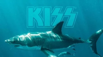 Фото: Группа Kiss даст концерт для акул под водой 1