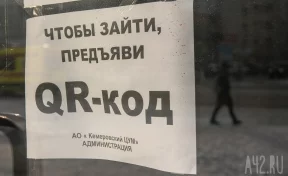 Предпринимателям Кузбасса, пострадавшим из-за QR-контроля, рассказали о снижении налогов