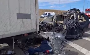 В Ростовской области в ДТП с грузовым автомобилем погибли 3 человека