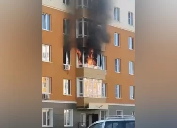 Фото: Появилось видео пожара в кемеровской Лесной Поляне 1