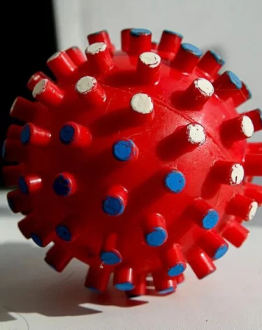 В Роспотребнадзоре рассказали о новом коронавирусе, обнаруженном у летучих мышей