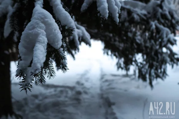 Вильфанд: аномальный холод ожидается в ближайшие дни в большинстве округов