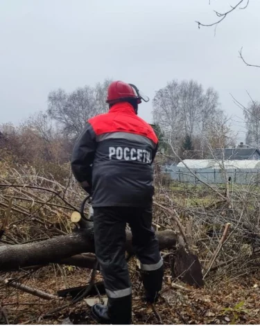 Энергетики «Россети Сибирь» расчистят более 15 гектаров просек в охранных зонах линий электропередачи в Новокузнецком округе