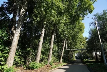 Фото: В Кемерове жители Предзаводского пожаловались мэру на ветхие дома и разбитые дороги 3