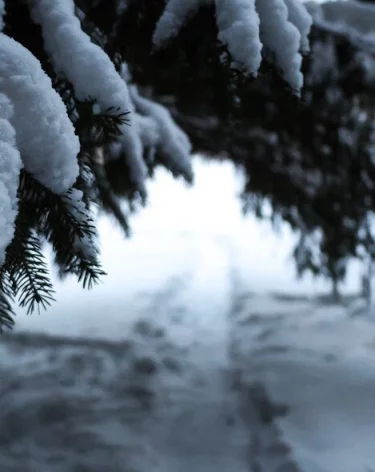 Вильфанд: аномальный холод ожидается в ближайшие дни в большинстве округов