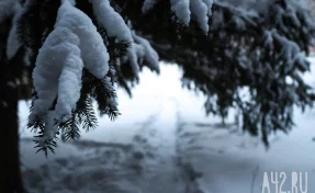 Вильфанд: аномальный холод ожидается в ближайшие дни в большинстве округов