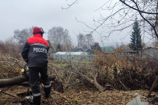 Энергетики «Россети Сибирь» расчистят более 15 гектаров просек в охранных зонах линий электропередачи в Новокузнецком округе