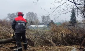 Энергетики «Россети Сибирь» расчистят более 15 гектаров просек в охранных зонах линий электропередачи в Новокузнецком округе