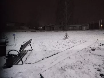 Фото: «Зима пришла всё-таки»: кузбассовцы делятся в соцсетях фотографиями выпавшего снега  3
