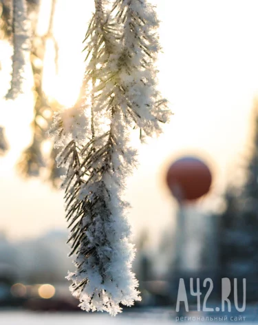 Фото: А42.RU