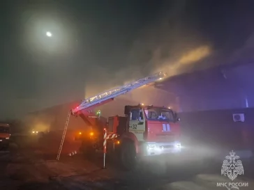 Фото: МЧС: в Алтайском крае горит гипермаркет на площади 900 квадратных метров, его тушат 55 пожарных 3