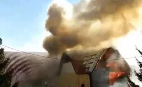 Пожар в садовом товариществе в Кемеровском районе сняли на видео
