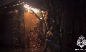 МЧС опубликовало кадры ночного пожара в Кемерове