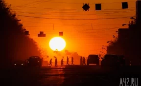До +37: аномальная жара усилится в Кузбассе к выходным