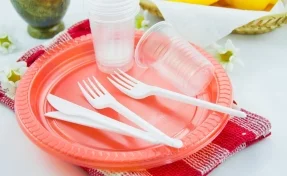 В Евросоюзе запретят пластиковые тарелки и ватные палочки