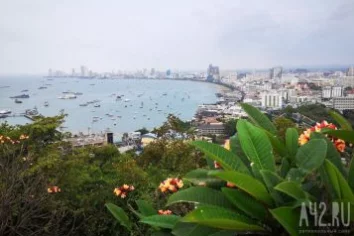 Таиланд планирует сократить срок безвизового въезда для россиян до 30 дней