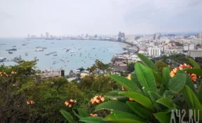 Таиланд планирует сократить срок безвизового въезда для россиян до 30 дней