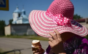 Россельхознадзор: две партии кузбасского мороженого экспортировали в Китай
