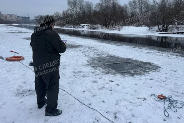 В Брянске дети провалились под лёд во время катания на тюбинге