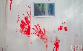 «Убила ножницами»: задержанная москвичка рассказала о смерти ребёнка в туалете электрички