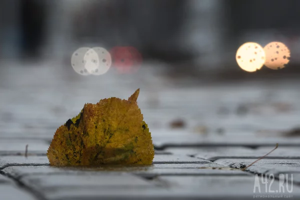 Температурный перепад в 20 градусов ожидается в Кузбассе 26 октября