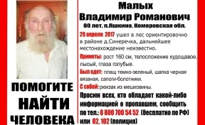 В Кузбассе ищут пропавшего в лесу пенсионера