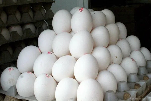 Магазины предупреждены ФАС о недопустимости повышения цен на яйца перед Пасхой