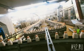 В Кузбассе растёт производство молока