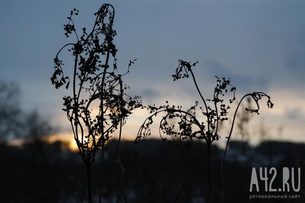 Не ходить в гости и не затевать уборку: народные приметы на 17 октября